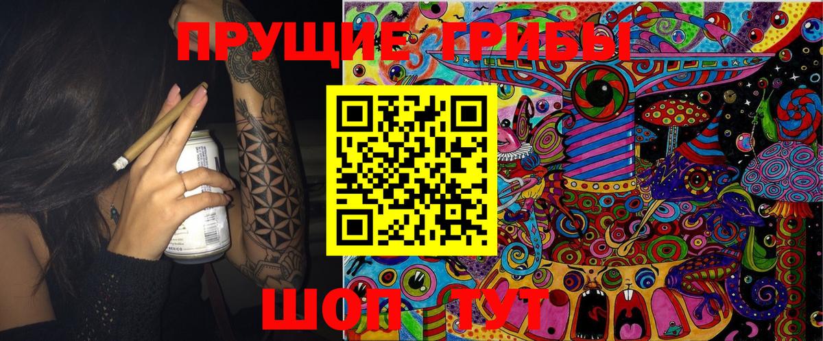 где найти   Галлюциногенные грибы GOLDEN TEACHER  Псилоцибиновые грибы Magic Shrooms  Вход с VPN  Междуреченск 