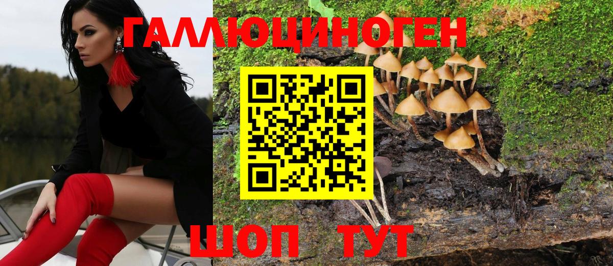 Галлюциногенные грибы GOLDEN TEACHER Междуреченск